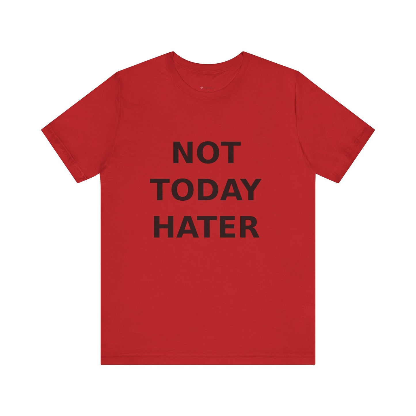 "Not Today Hater” Tee